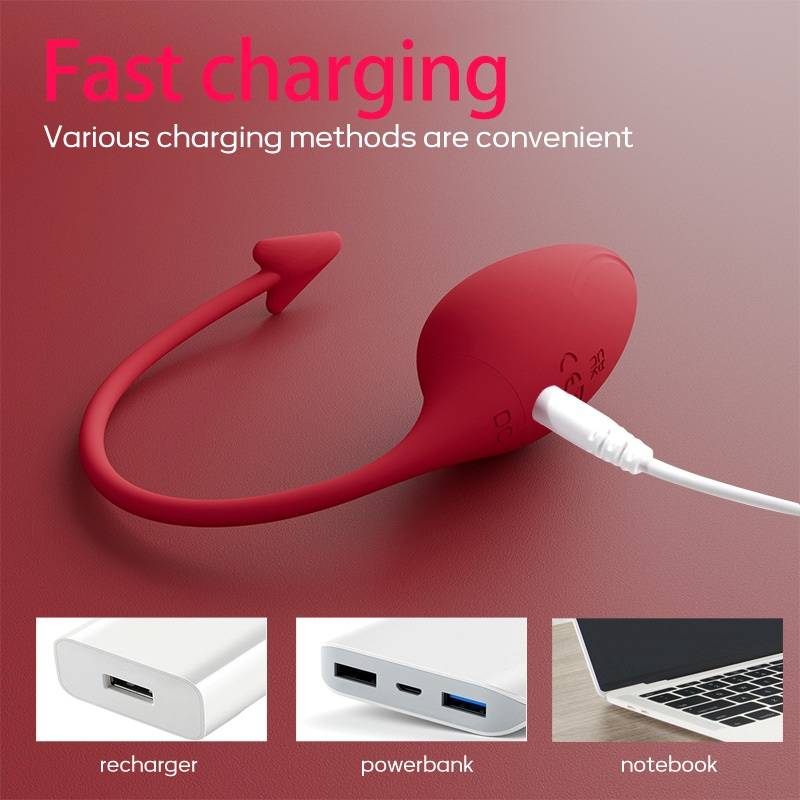 9 Kinds of vibration
Charging time: 120 Mins
Length of use:... Secwell - Succubus Vibro Egg - Red photo-16