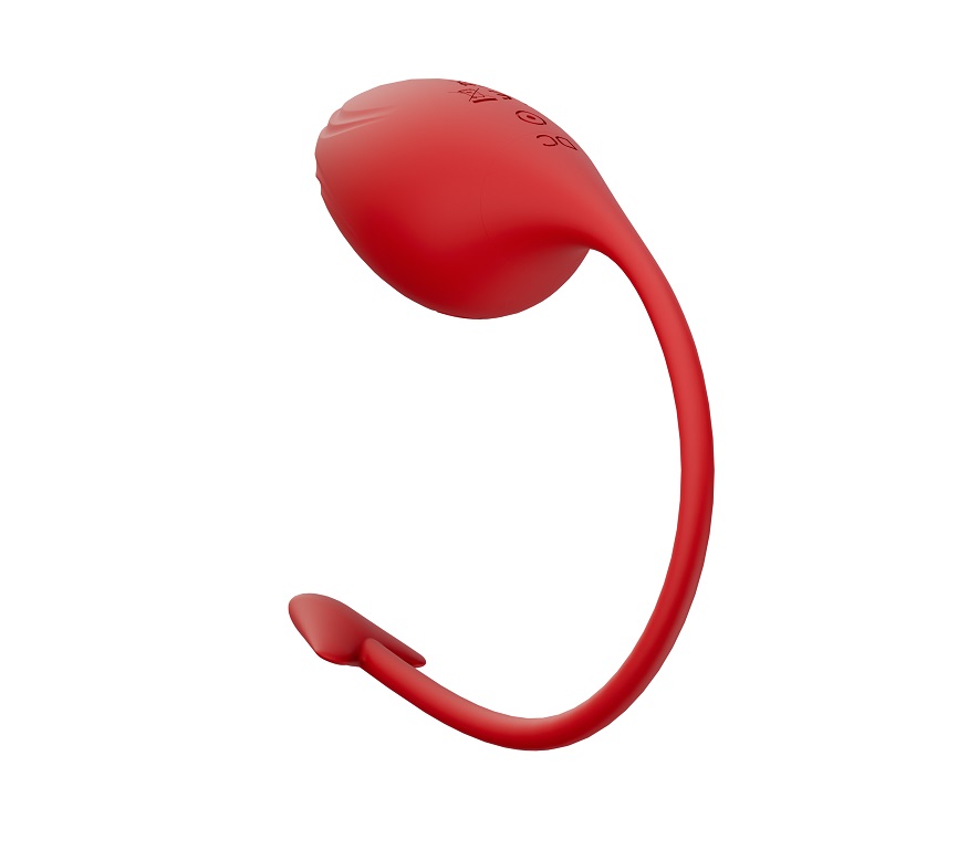 9 Kinds of vibration
Charging time: 120 Mins
Length of use:... Secwell - Succubus Vibro Egg - Red photo-3