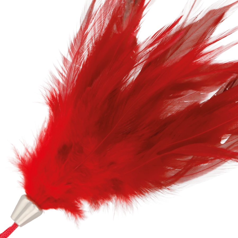 The game of erotic sensations is a class of activities that ... Darkness - Feather 17cm - Red photo-2