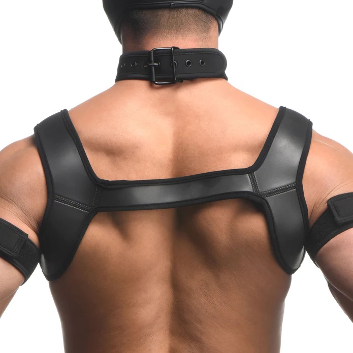 When playing as a puppy, the right gear goes a long way! Get... Master Series - Full Pup Arsenal Set - Black photo-2