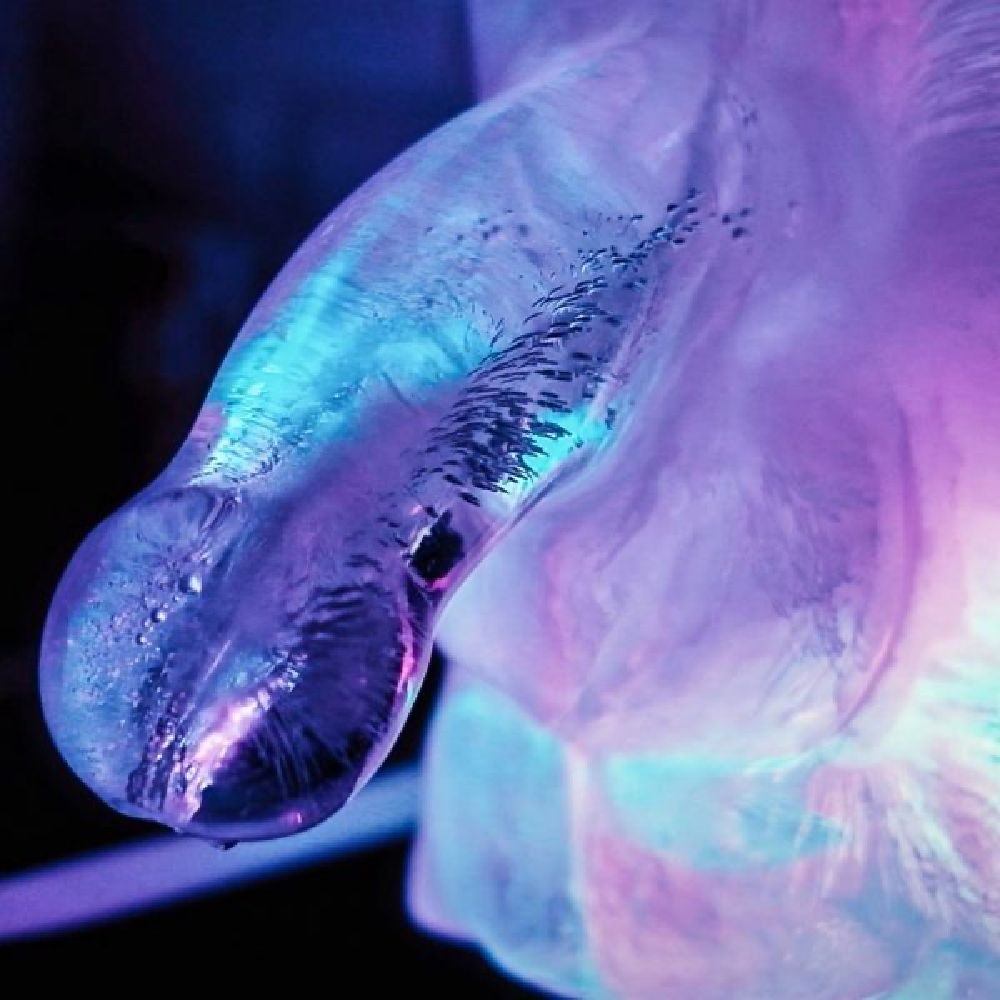 This ice luge mould fits into most standard-sized freezers a... Creative C - Play Wiv Me - Huge Penis Ice Luge photo-5