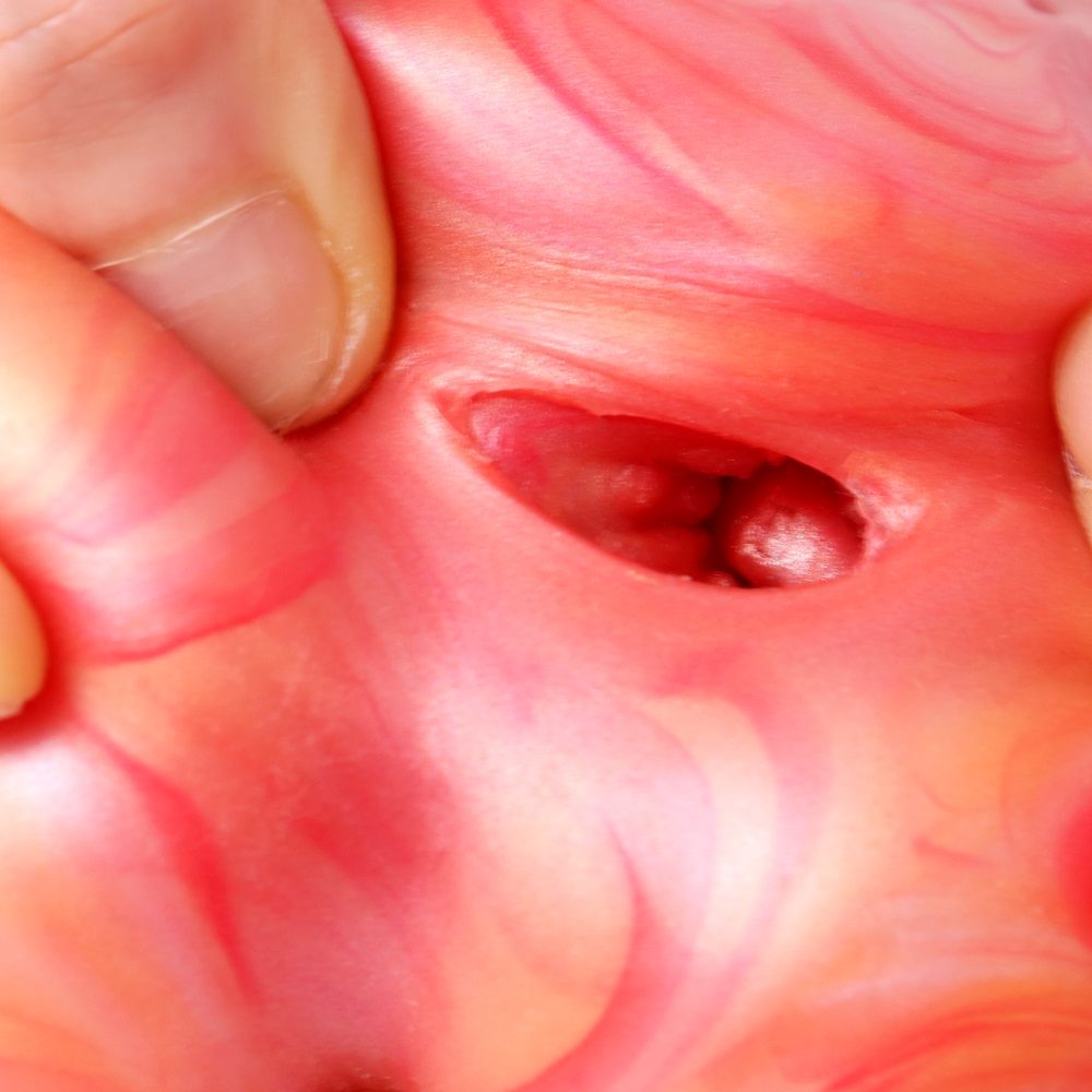 Material: Liquid silicone
Size: 14.5*8cm
Net weight: 486g FAAK - Pussy Masturbator - Bloodsucker photo-5