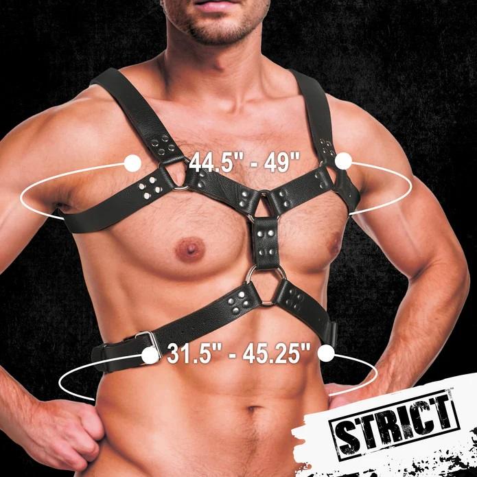 Discover the ultimate combination of style and function with... Strict - 6 O-Ring Chest Harness - Black photo-5