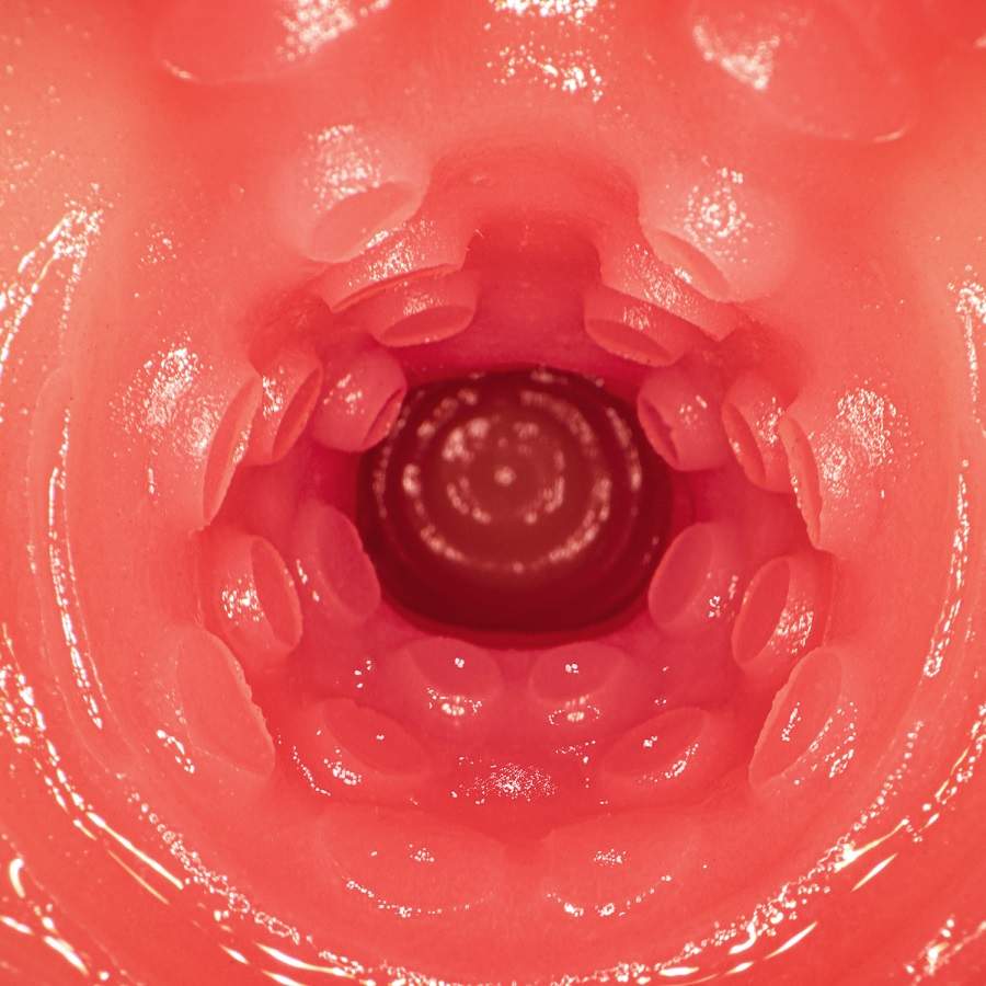 Mai Tsubasa's mini masterpiece is born! Made of plump ma... NPG - Mai Tsubasa AV Mini Masturbator photo-10