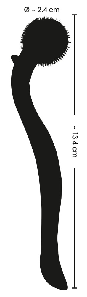 FC - Micro Pinwheel - Black 照片-7