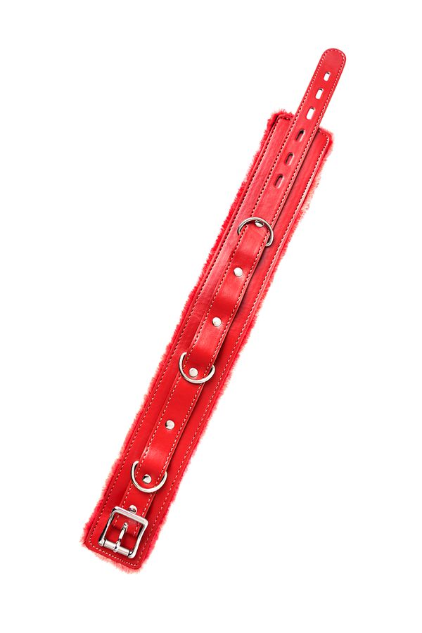 Made of genuine leather with velour lining. Nickel-plated fi... Anonymo - Collar w Leash - Red photo-7