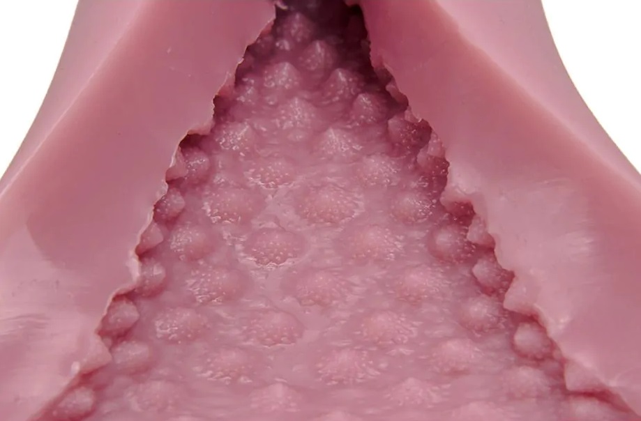 Romanesque fractal shape is a spiral shape of a bud followin... Tomax - Romanesco Regular Masturbator photo-4