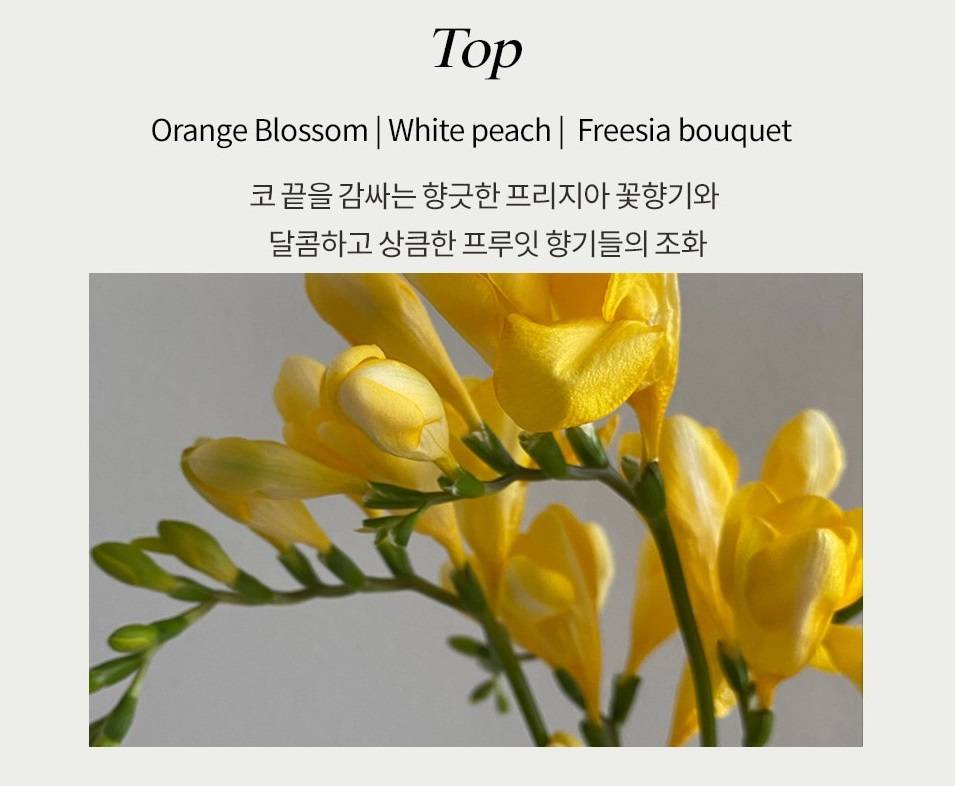 Fragrance of freesia meets fresh white peach and gives a pur... Red Container - Pheromone Flavor REDP Road Ssom - 30ml photo-5