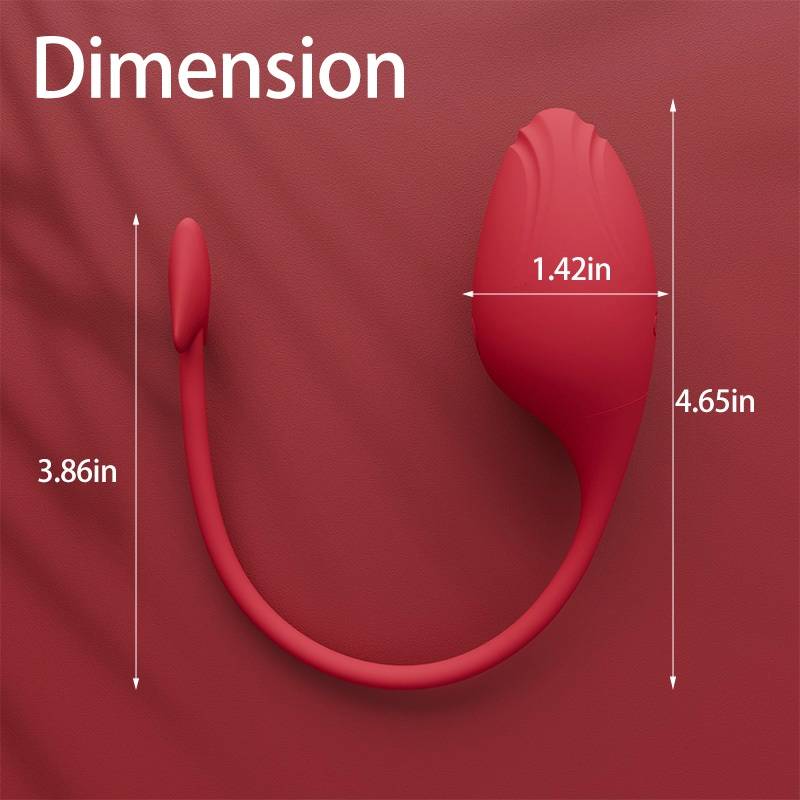 9 Kinds of vibration
Charging time: 120 Mins
Length of use:... Secwell - Succubus Vibro Egg - Red photo-17