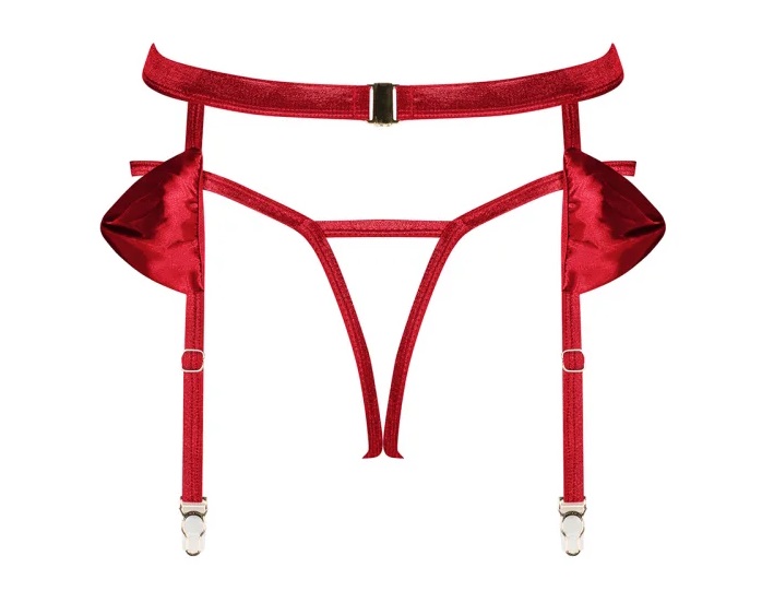 Our plan today was to fulfill your fantasies about extremely... Obsessive - Rubinesa Garter Belt & Thong - Red - L/XL photo-8