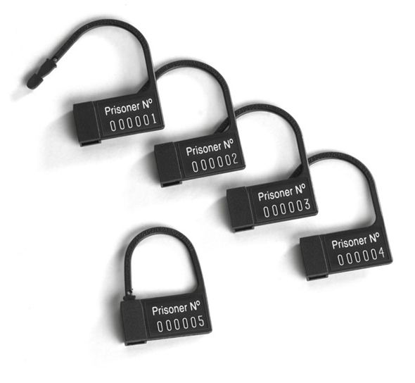 Your days of sexual liberty are over. The Pubic Enemy No1 wi... Mystim - Pubic Enemy No 1 Electro Cock Cage - Clear photo-3