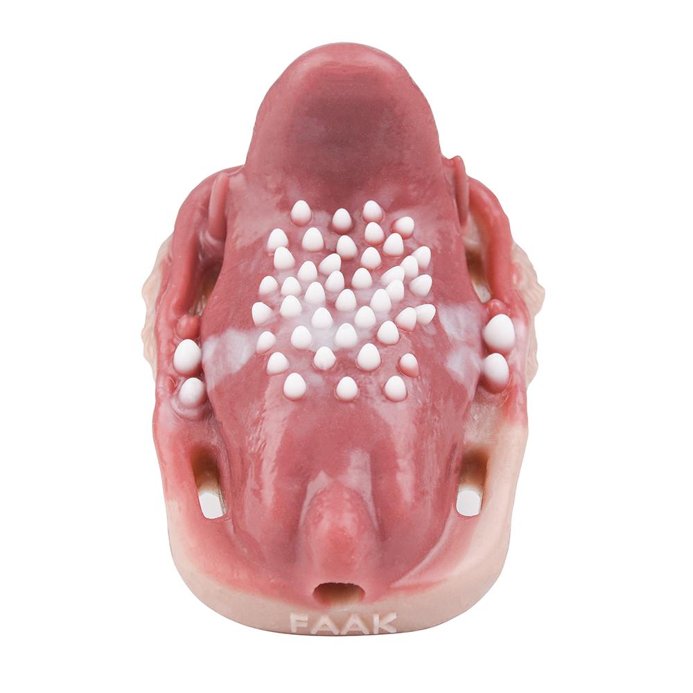 Fantasy realistic sex grinder
Length: 11.7cm
Width: 8.8cm
H... FAAK - Predator Vibro Grinder photo-10
