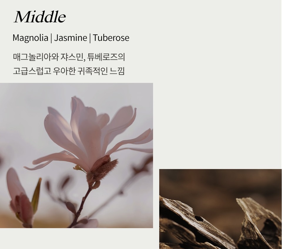 The scent of magnolia, warm like sunlight, gives off a refin... Red Container - Pheromone Flavor REDP Magnolia Melt - 30ml photo-5