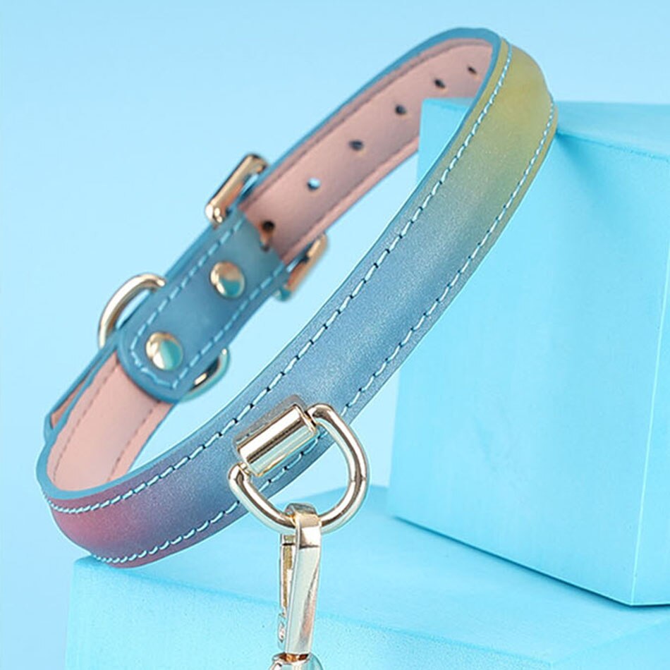 PU collar & leash over 1 meter MT - Collar & Leash - Rainbow Blue photo-6
