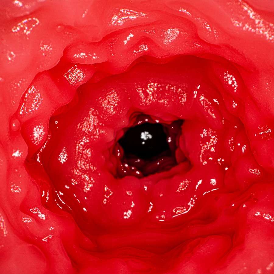 It feels so good! Recreated the little devil Rima's puss... NPG - Rima Arai AV Mini Masturbator photo-4