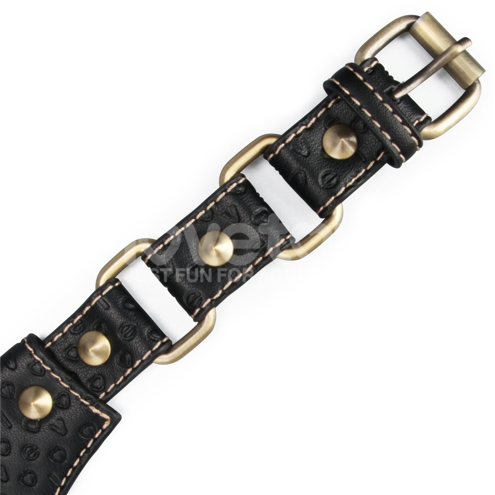 Immerse yourself in a blend of luxury and rustic charm with ... Lovetoy - Rebellion Reign Collar w Leash - Black photo-6