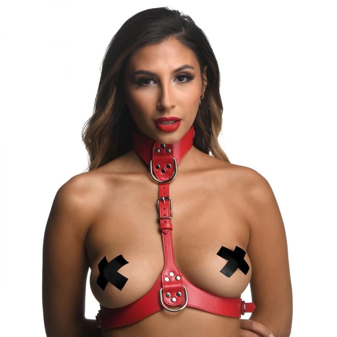 Show off your gorgeous body and share your flair for kink wi... Strict - Female Chest Harness - Red - M/L photo-3