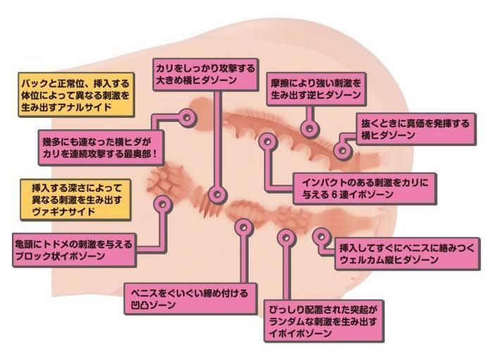 Dolls are a great toy and with the right doll you can truly ... SSI - Real Body Yura Anekawa D-Cup 9kg Masturbator photo-2