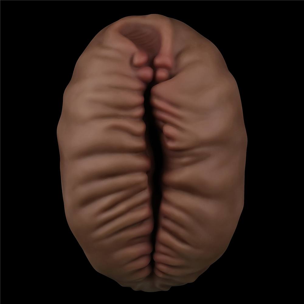 Highly detailed and expertly hand crafted, this realistic al... Lovetoy - Alien's Pie Masturbator #2 - Brown photo-3
