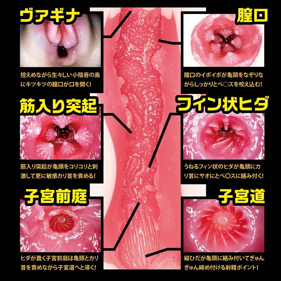 不要忘記查看這些必需品:
不要錯過該系列的其他產品:
... NPG - 名器之証明 File 003 葵司 自慰器 照片-8
