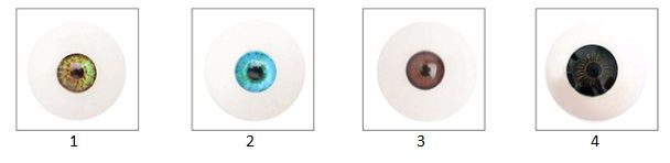Eye colors Eye colors