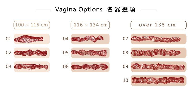vagina vagina
