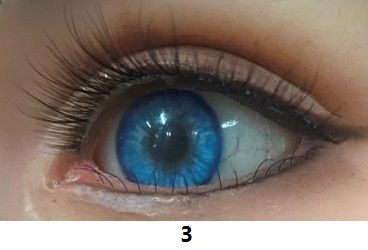 Eye color Eye color