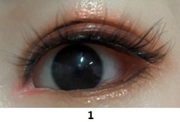 Eye color Eye color