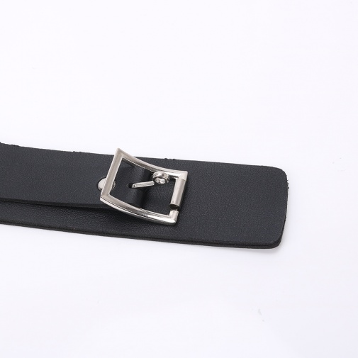 MT - Collar 6 photo