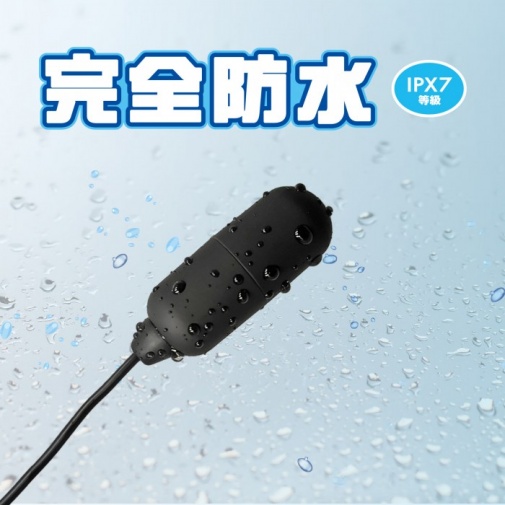 SSI - Rotor Type-R 迷你震蛋 - 黑色 照片