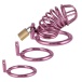 MT - Metal Chastity Cage w 3 Rings - Purple photo