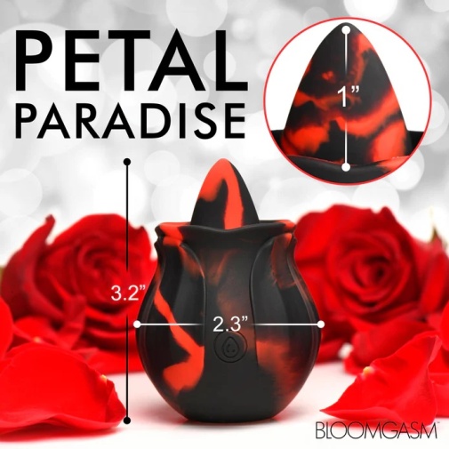Bloomgasm - Black Kiss Rimming Rose photo