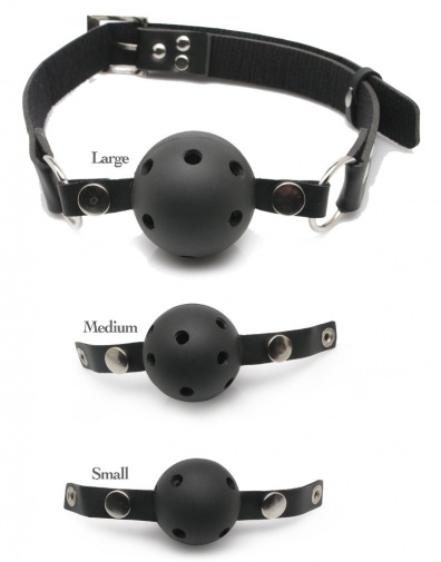 Fetish Fantasy - Ball Gag Training System - Black photo