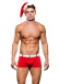 Envy - Santa Hat And Shorts - Red/White - M/L photo