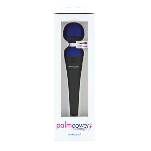 Palmpower - Recharge Massager – Blue photo