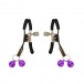 MT - Nipple Clamps w Bells photo
