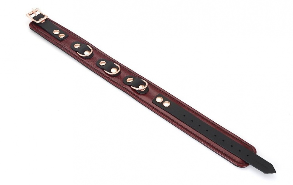Deep red collar is both one of quality and elegance. Genuine... Liebe Seele - Leather Collar w Leash - Wine Red photo-4