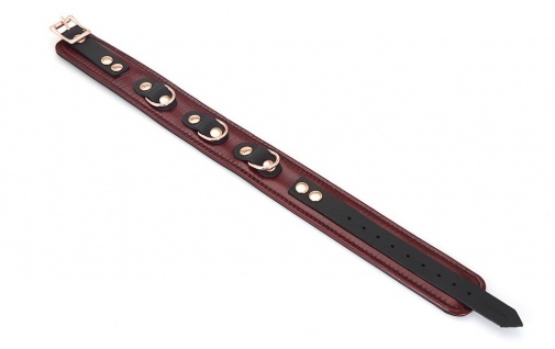 Liebe Seele - Leather Collar w Leash - Wine Red photo