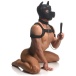 Master Series - Full Pup Arsenal 狗狗调教套装 - 黑色 照片-6