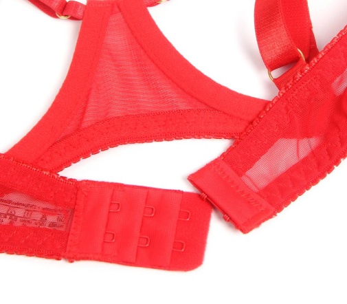 Ohyeah - Chain Heart Mesh Bra Set - Red - L photo