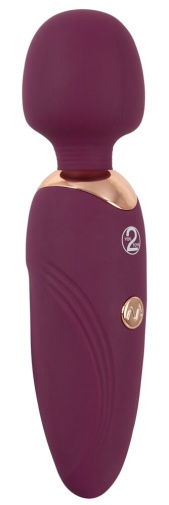 You2Toys - Petite Mini Wand Massager - Purple photo