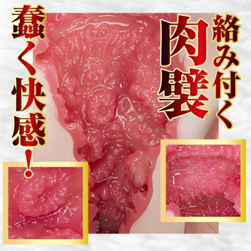NPG - Tsubasa Hachino 極上名器自慰器 照片