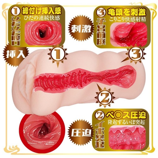 NPG - 桥本有菜AV女优迷你自慰器 照片