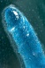 A-Toys - Indy Dildo 15.8cm - Blue photo-12