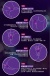 Erocome - UrsaMinor - Egg - Purple photo-28
