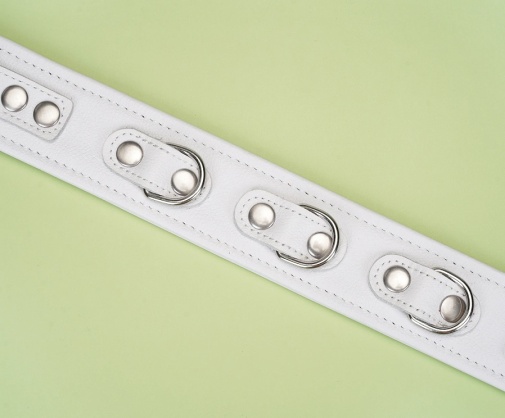Liebe Seele - Collar w Leash - White photo