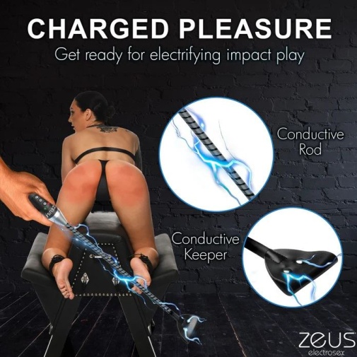 Zeus Electrosex - 電刺激馬鞭 - 黑色 照片