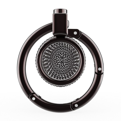 Sevanda - Hauberk Chastity Cage L - Black photo