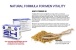 XP - Tongkat Ali 2H 600mg x 10 capsules photo-2