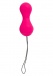Gvibe - GBalls 2 App - Petal Rose photo-5